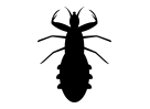 piojos
